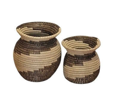 FLORA ESENCIAL CONJUNTO