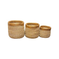 LINGUERE JUNIOR ABIERTO PREMIUM CONJUNTO